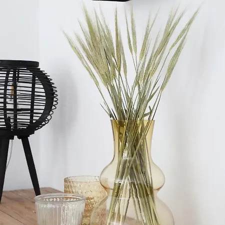 Stoeckel Διαμέρισμα